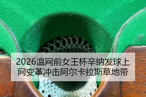 wen-wang-qian-nv-wang-bei-xin-na-fa-qiu-shang-wang-bian-ge-chong-ji-a-er-ka-la-si-cao-di-dai-2-246.jpg